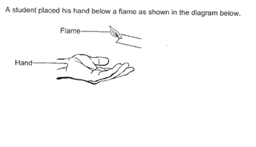 hand diagram.png